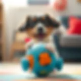 Interactive dog toy Gogo in action