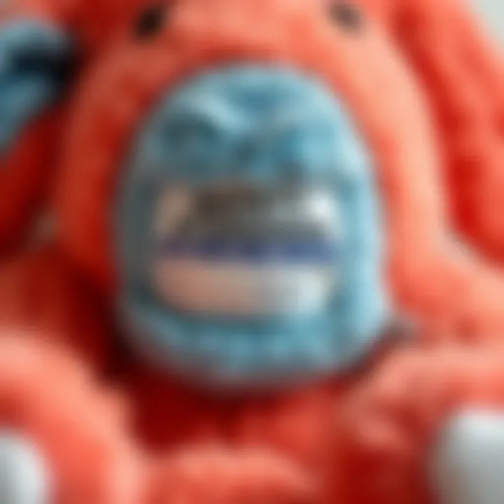 Safety standards label on a plush toy